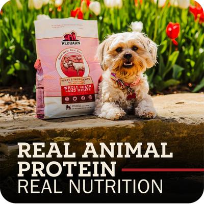 Show full view: Redbarn Whole Grain Land Recipe Dry Dog Food, 4-lb bag slide 3 of 11