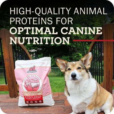 Show full view: Redbarn Whole Grain Land Recipe Dry Dog Food, 4-lb bag slide 9 of 11