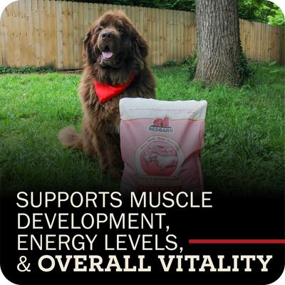 Show full view: Redbarn Whole Grain Land Recipe Dry Dog Food, 4-lb bag slide 7 of 11