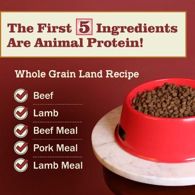 Show full view: Redbarn Whole Grain Large Breed Recipe Dry Dog Food, 28-lb bag slide 5 of 12