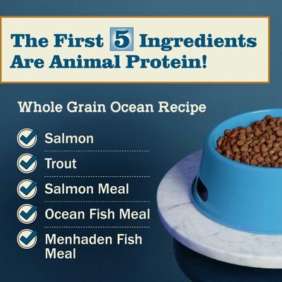 Show full view: Redbarn Whole Grain Ocean Recipe Dry Dog Food, 22-lb bag slide 5 of 12
