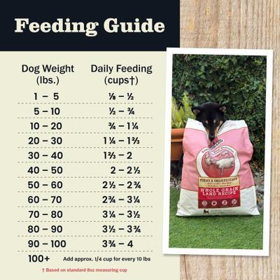 Show full view: Redbarn Whole Grain Puppy Recipe Dry Dog Food, 4-lb bag slide 9 of 12