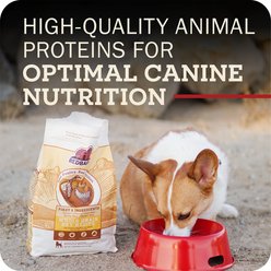 Redbarn Whole Grain Sky Recipe Dry Dog Food, 22-lb bag slide 2 of 9