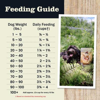 Show full view: Redbarn Whole Grain Sky Recipe Dry Dog Food, 4-lb bag slide 9 of 12