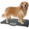 Show in main carousel: Redmon Precision Digital Pet Scale, Large slide 1 of 7