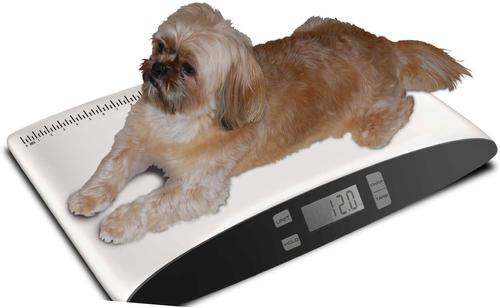 Show full view: Redmon Precision Digital Small Pet Scale, White slide 3 of 4