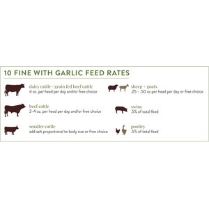 Redmond 10 Fine with Garlic Supplement for Farm Animals, 50-lb bag