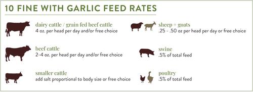 Show full view: Redmond 10 Fine with Garlic Supplement for Farm Animals, 50-lb bag slide 3 of 3