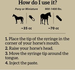 Redmond Equine Daily Gold Digestive Stress Relief Paste Horse Supplement, 70 cc syringe slide 2 of 3