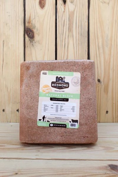 ボッコム ソルト S.A.L.T 希少 BOCCOM ボッコム ソルト S.A.L.T