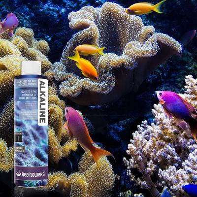 Show full view: Reeflowers Alkaline I Natural Aquarium Minerals, 34-oz bottle slide 8 of 9