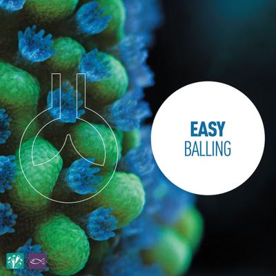 Show full view: Reeflowers All Elements Easy Balling Part II Fish Aquarium Water Conditioner, 17-fl oz bottle slide 5 of 8