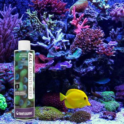 Show full view: Reeflowers All Elements Easy Balling Part II Fish Aquarium Water Conditioner, 17-fl oz bottle slide 8 of 8