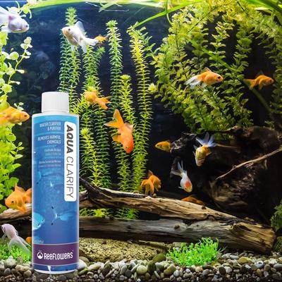 Show full view: Reeflowers Aqua Clarify Aquarium Water Clarifier & Purifier, 1000-mL bottle slide 7 of 7