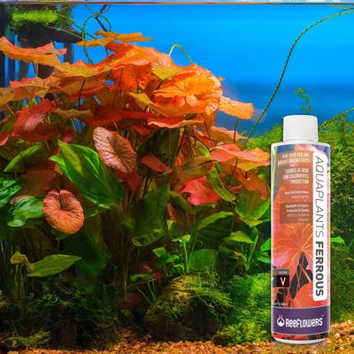 Show full view: Reeflowers Aqua Plants Ferrous Balling Set V Fish Aquarium Water Conditioner, 17-fl oz bottle slide 8 of 8