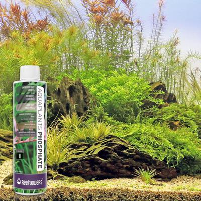 Show full view: Reeflowers Aqua Plants Phosphate Balling Set II Fish Aquarium Water Conditioner, 17-fl oz bottle slide 8 of 8
