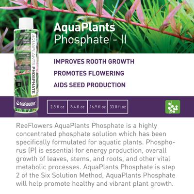 Show full view: Reeflowers Aqua Plants Phosphate Balling Set II Fish Aquarium Water Conditioner, 2.9-fl oz bottle slide 2 of 8