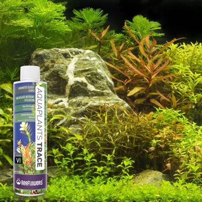 Show full view: Reeflowers Aqua Plants Trace Balling Set VI Fish Aquarium Water Conditioner, 17-fl oz bottle slide 8 of 8