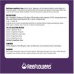 Show in main carousel: Reeflowers Aqua Plants Trace Balling Set VI Fish Aquarium Water Conditioner, 8.5-fl oz bottle slide 3 of 8