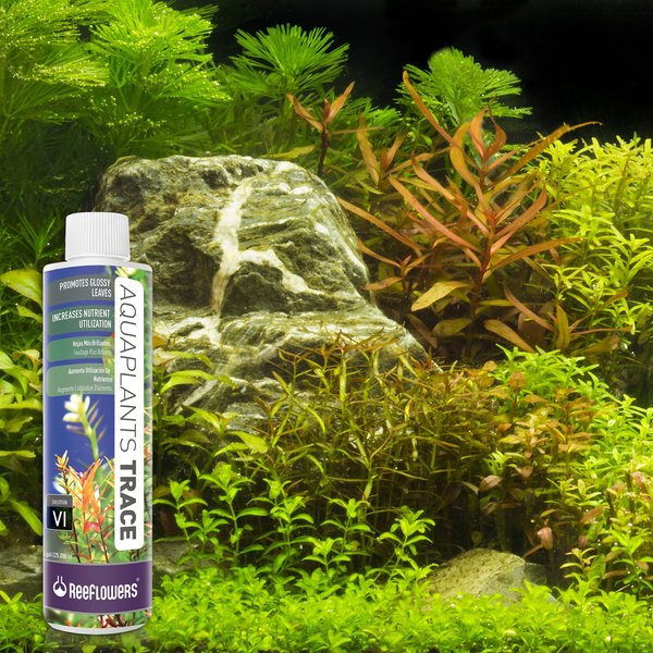 Show full view: Reeflowers Aqua Plants Trace Balling Set VI Fish Aquarium Water Conditioner, 8.5-fl oz bottle slide 8 of 8