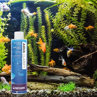Show full view: Reeflowers AquaClarify Fish Aquarium Water Conditioner, 17-fl oz bottle slide 7 of 7