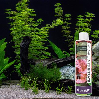 Show full view: Reeflowers AquaPlants Nitrate Solution I Aquarium Plant Treatment, 34-oz bottle slide 8 of 8