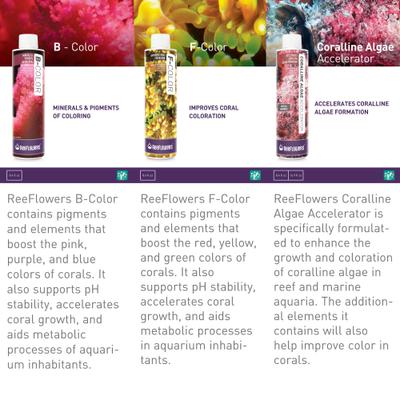 Show full view: Reeflowers B-Color Fish Aquarium Water Conditioner, 8.5-fl oz bottle slide 6 of 7