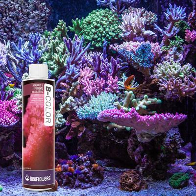 Show full view: Reeflowers B-Color Fish Aquarium Water Conditioner, 8.5-fl oz bottle slide 7 of 7