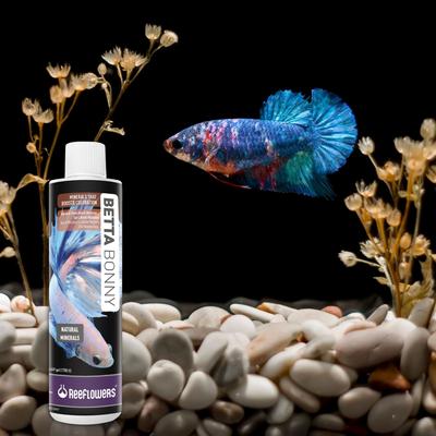 Show full view: Reeflowers Betta Bonny Fish Aquarium Water Conditioner, 2.9-fl oz bottle slide 7 of 7