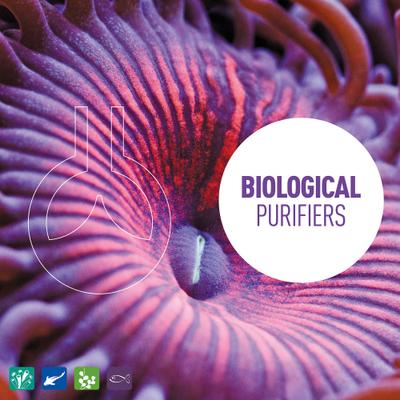 Show full view: Reeflowers BioClean I Aquarium Water Cleaner, 34-fl oz bottle slide 5 of 7