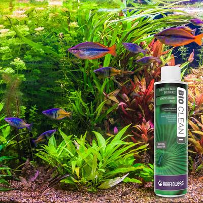 Show full view: Reeflowers BioClean I Aquarium Water Cleaner, 34-fl oz bottle slide 7 of 7