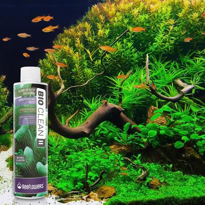 Show full view: Reeflowers BioClean II Aquarium Water Cleaner, 34-fl oz bottle slide 7 of 7