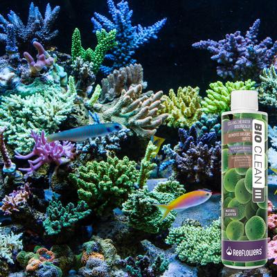 Show full view: Reeflowers BioClean III Aquarium Water Cleaner, 17-fl oz bottle slide 7 of 7