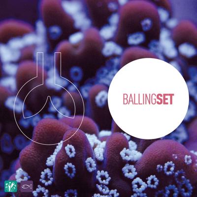 Show full view: Reeflowers Calcium Blend B Part Balling Fish Aquarium Water Conditioner, 8.5-fl oz bottle slide 5 of 8