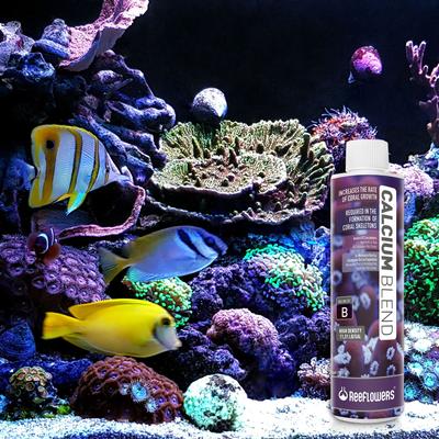 Show full view: Reeflowers Calcium Blend B Part Balling Fish Aquarium Water Conditioner, 8.5-fl oz bottle slide 8 of 8