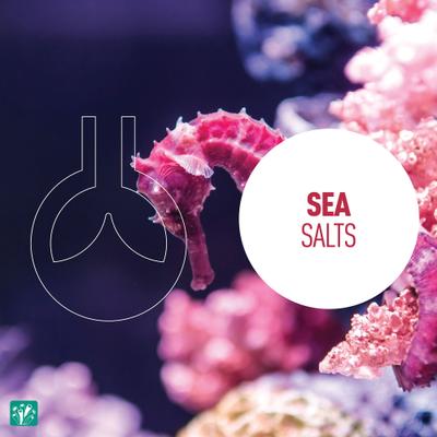Show full view: Reeflowers Caledonia Aquarium Sea Salt, 14-lb tub slide 5 of 8