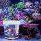 Show in main carousel: Reeflowers Caledonia Aquarium Sea Salt, 14-lb tub slide 7 of 8