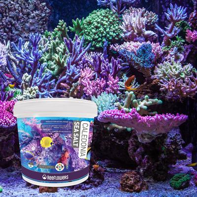 Show full view: Reeflowers Caledonia Aquarium Sea Salt, 14-lb tub slide 7 of 8