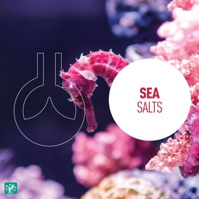 Show full view: Reeflowers Caledonia Reef Salt Aquarium Salt, 50-lb tub slide 5 of 8