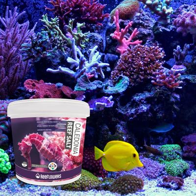 Show full view: Reeflowers Caledonia Reef Salt Aquarium Salt, 50-lb tub slide 7 of 8