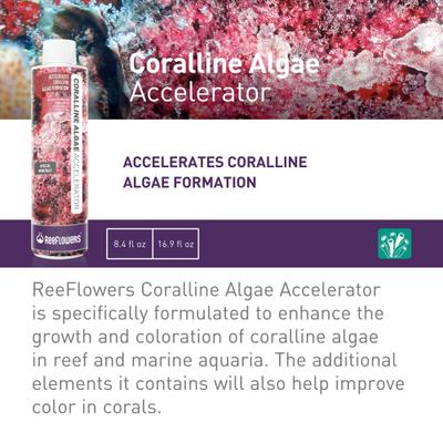 Show full view: Reeflowers Coralline Algae Accelerator Fish Aquarium Water Conditioner, 17-fl oz bottle slide 2 of 7