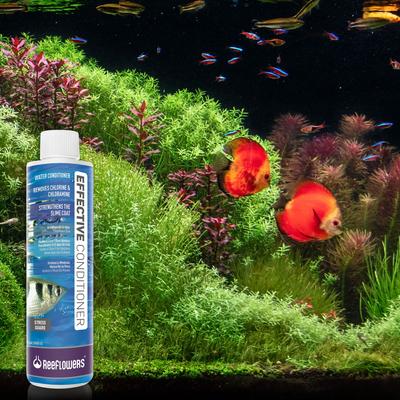 Show full view: Reeflowers Effective Dechlorinator Fish Aquarium Water Conditioner, 2.9-fl oz bottle slide 7 of 7