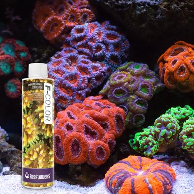 Show full view: Reeflowers F-Color Fish Aquarium Water Conditioner, 8.5-fl oz bottle slide 7 of 7