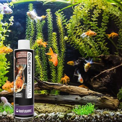 Show full view: Reeflowers Goldfish Fish Aquarium Water Conditioner, 17-fl oz bottle slide 6 of 6