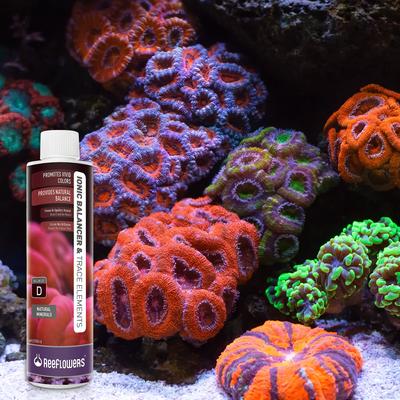 Show full view: Reeflowers Ionic Balancer & Trace Elements D Aquarium Water Treatment, 101-oz bottle slide 8 of 9