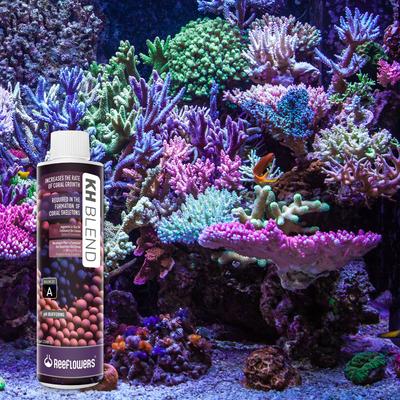 Show full view: Reeflowers kH Blend A Part Balling Fish Aquarium Water Conditioner, 17-fl oz bottle slide 8 of 8
