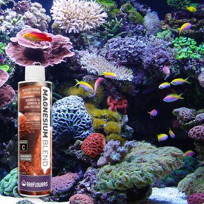 Show full view: Reeflowers Magnesium Blend C Part Balling Fish Aquarium Water Conditioner, 17-fl oz bottle slide 8 of 8