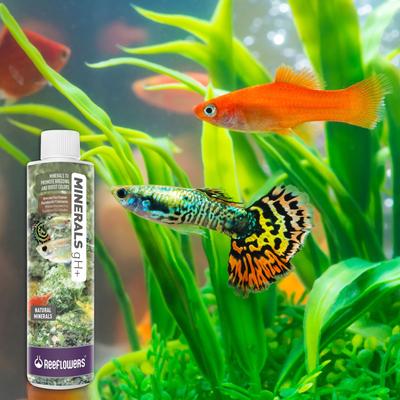 Show full view: Reeflowers Minerals gH+ Fish Aquarium Water Conditioner, 2.9-fl oz bottle slide 7 of 7