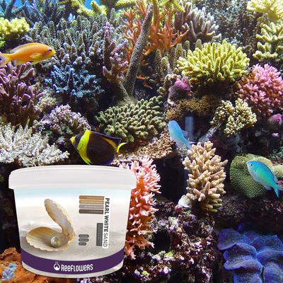 Show full view: Reeflowers Pearl White Aquarium Sand, 0.5-1-mm, 15-lb tub slide 7 of 7