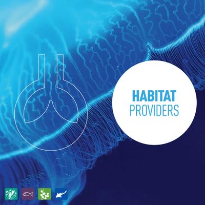 Show full view: Reeflowers pH Buffer 9.4 Fish Aquarium Water Conditioner, 17-fl oz bottle slide 5 of 7